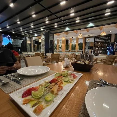 Отель Hotel Qeparo